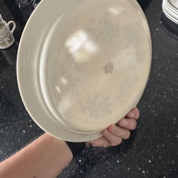 Corelle Thymeless Herbs Chamomile Dinner Plates 10 1/4” Set‎ of 2 White Green - Picture 8 of 9